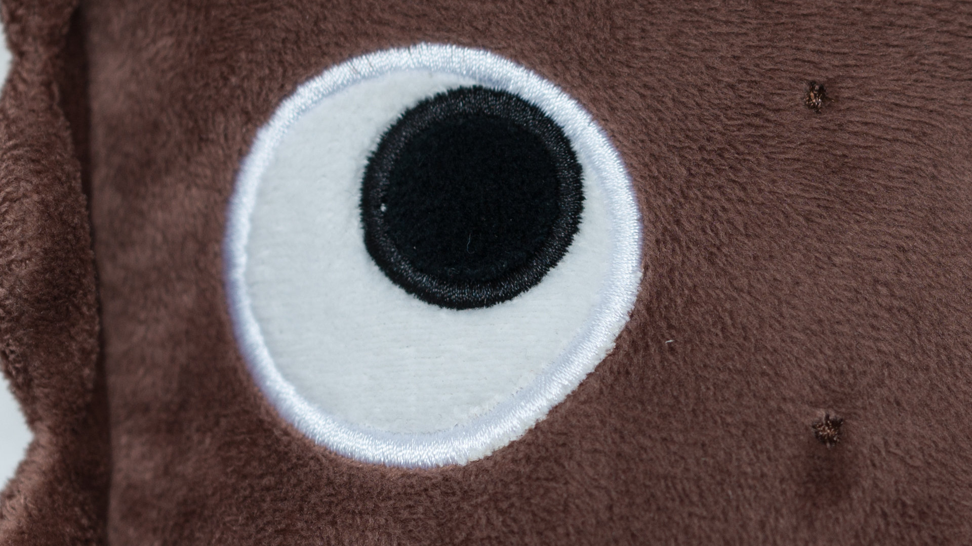 85mmOtusNikond800crop