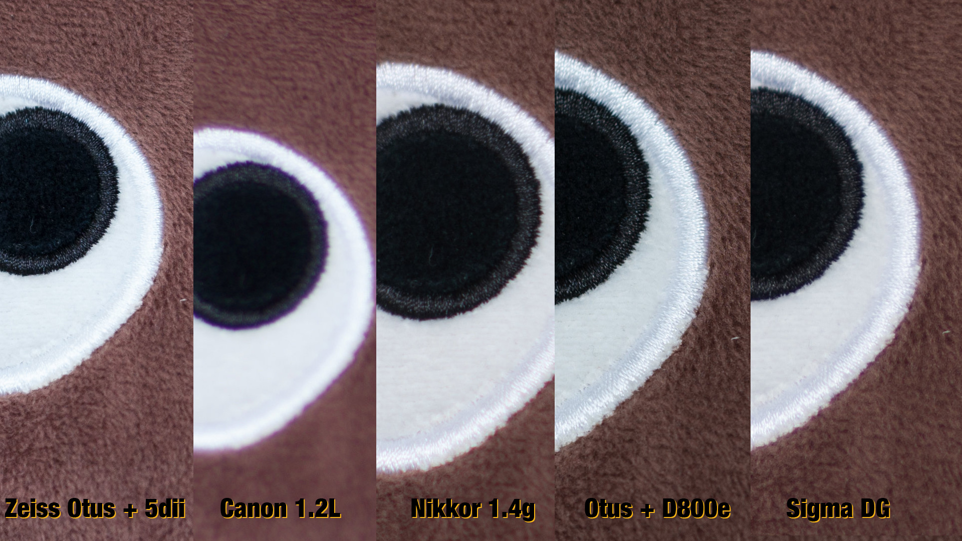 85mmteddycrop