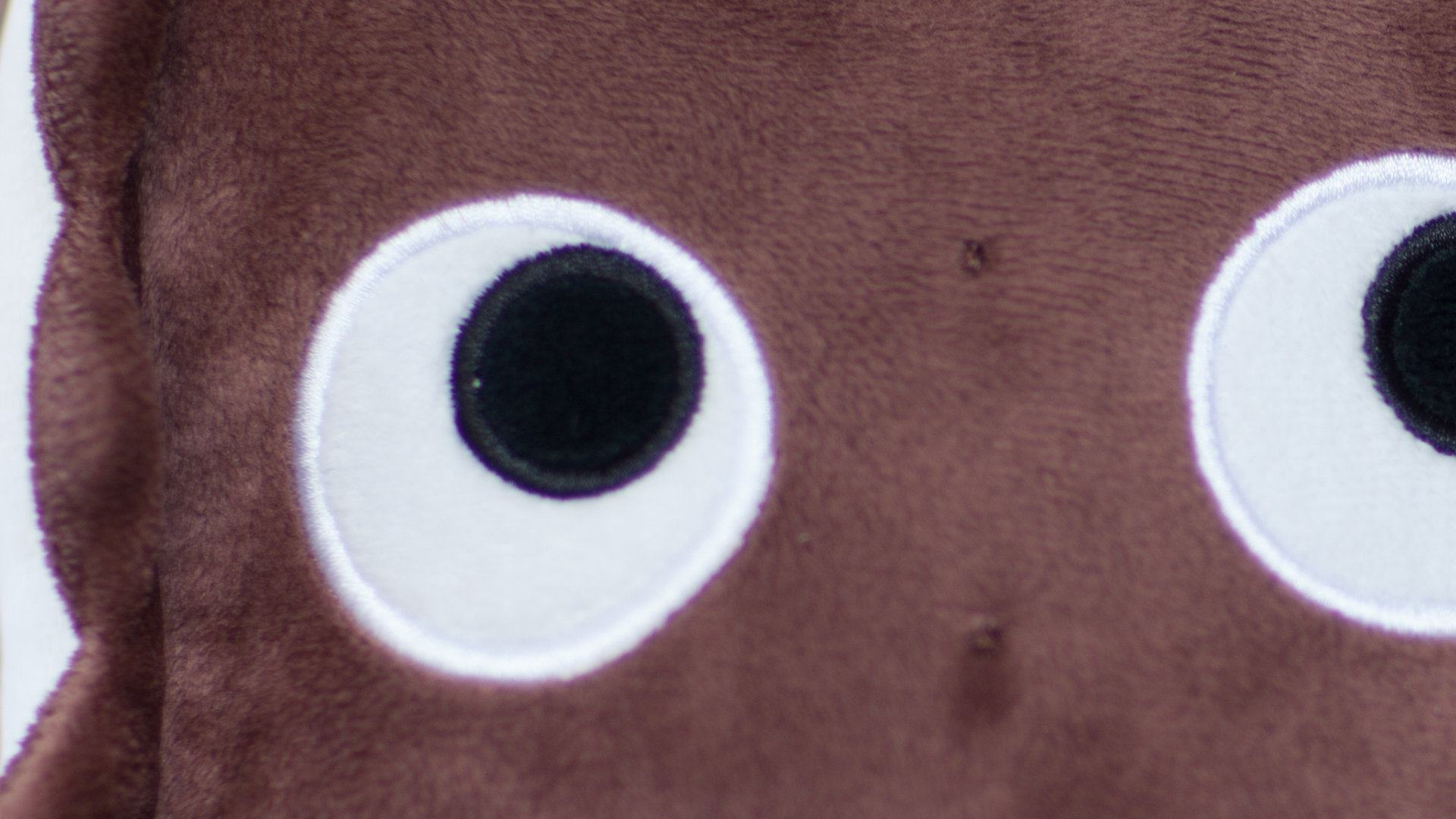 canon12crop