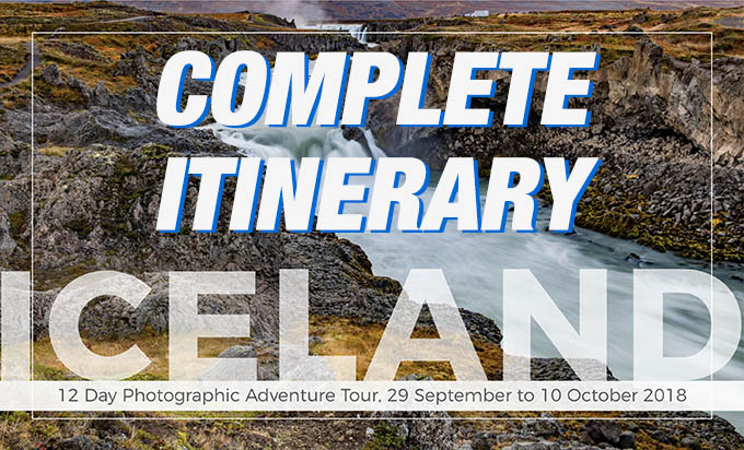 icelandHORSEwebcover